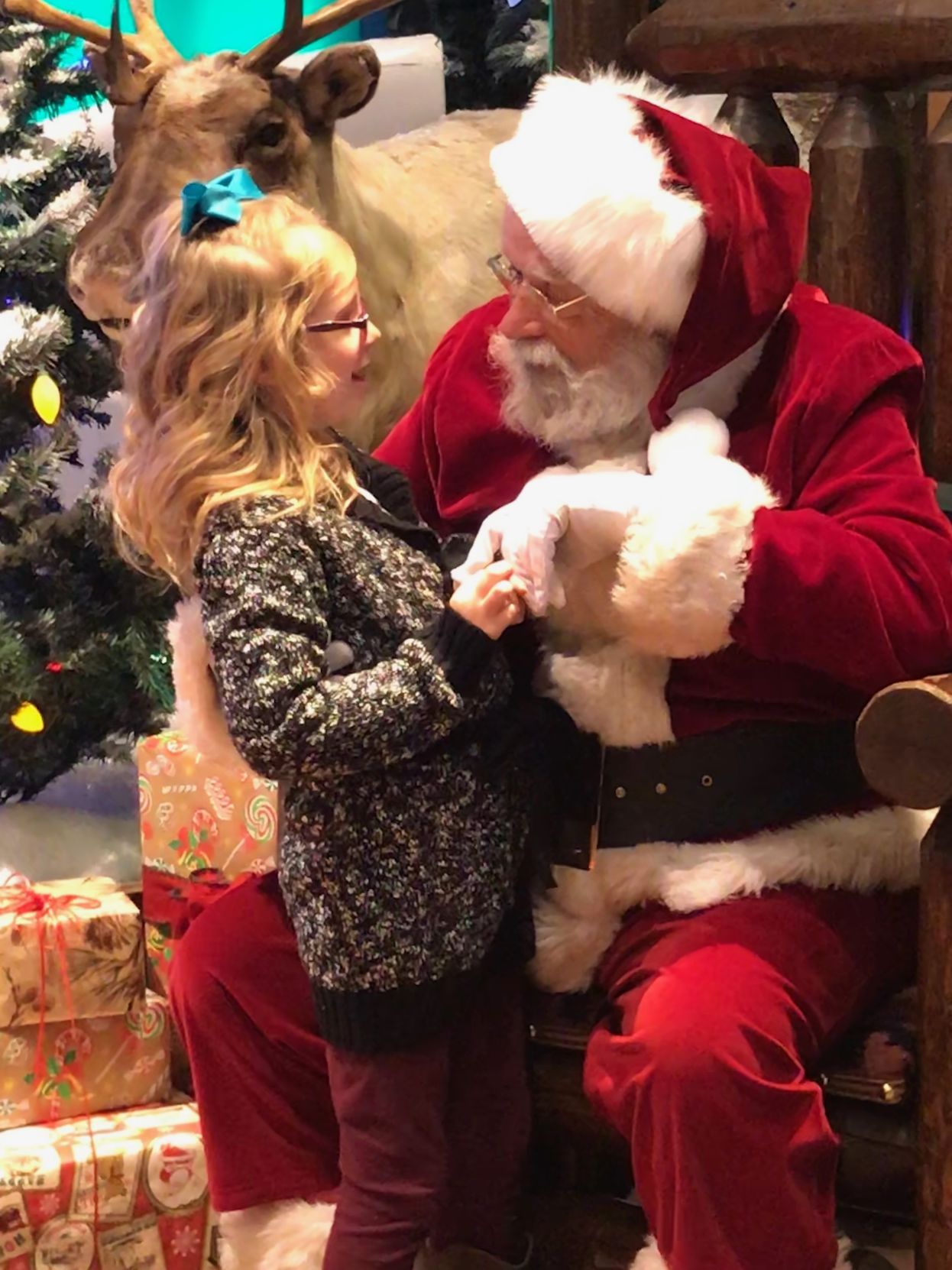 Photos with Santa